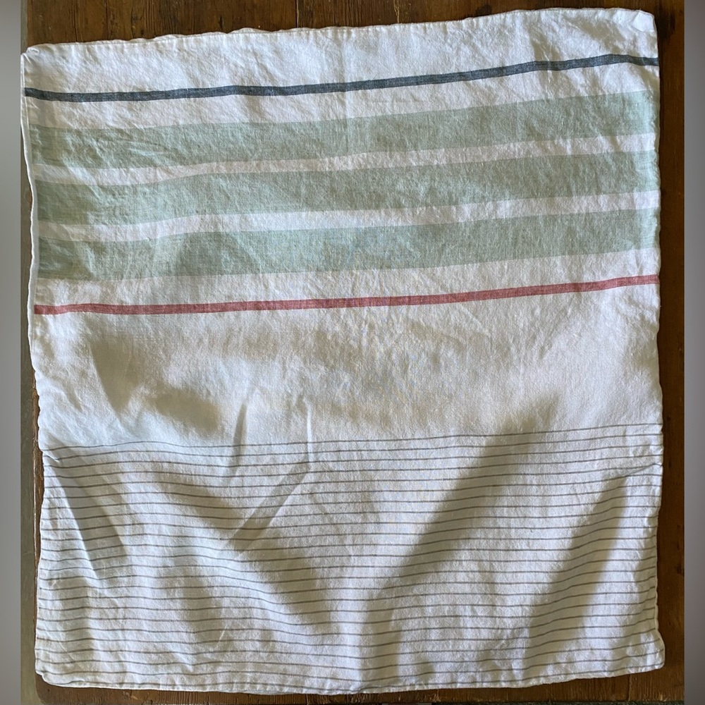 West Elm Euro linen pillow case